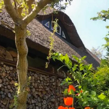 Kuenstlerhaus * Ribnitz-Damgarten