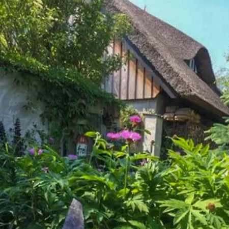 Dom wakacyjny Kuenstlerhaus Ribnitz-Damgarten